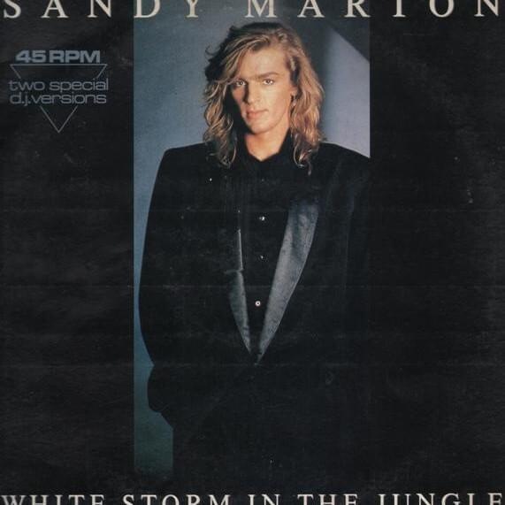 White Storm In The Jungle (Two Special D.J. Versions)