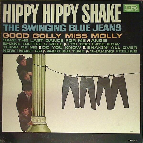 Hippy Hippy Shake