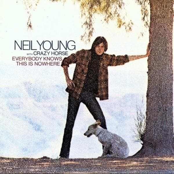 Album cover art for "Cinnamon Girl" by Neil Young