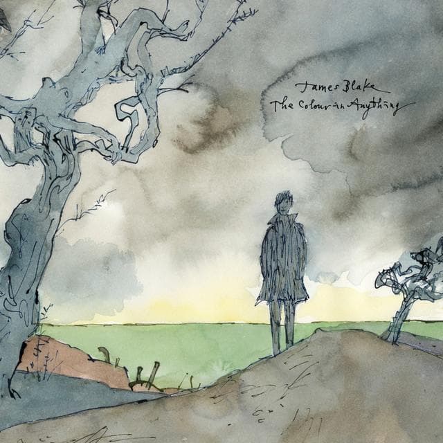 Album cover art for "I Need a Forest Fire" by James Blake & Bon Iver