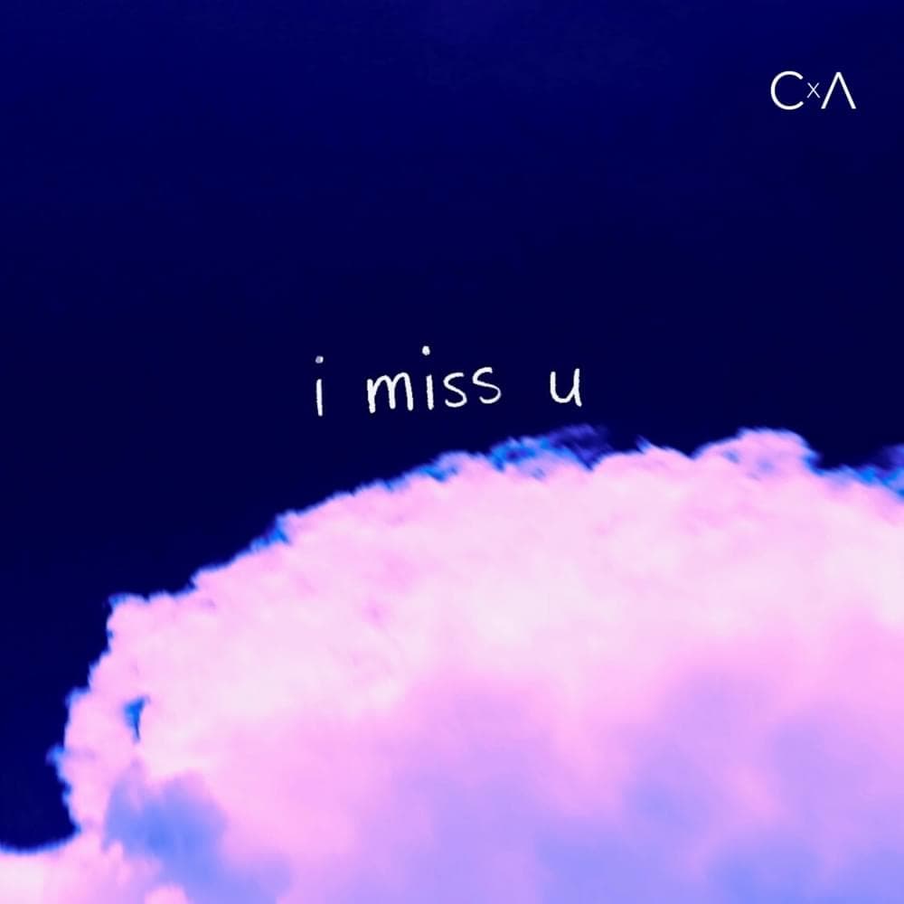 Album cover art for "аня (skit) (anya)" by C x A