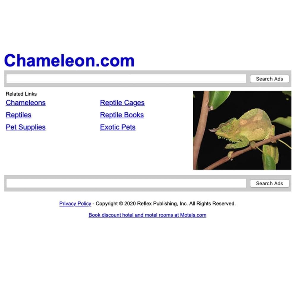 Album cover art for "Chameleon.com" by ​r u s s e l b u c k