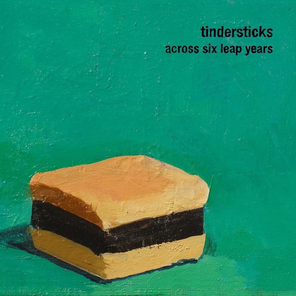 Album cover art for "What Are You Fighting For?" by Tindersticks