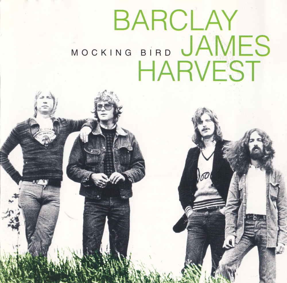 Mocking Bird