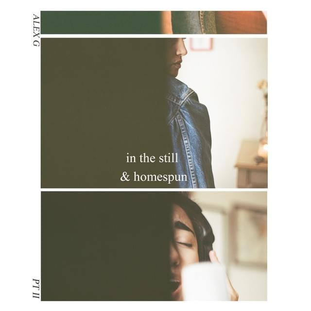 In The Still & Homespun, Pt. II - EP
