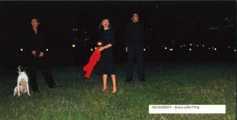 NECESSARY - Single