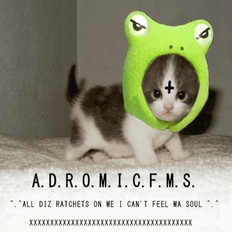 A.D.R.O.M.I.C.F.M.S.