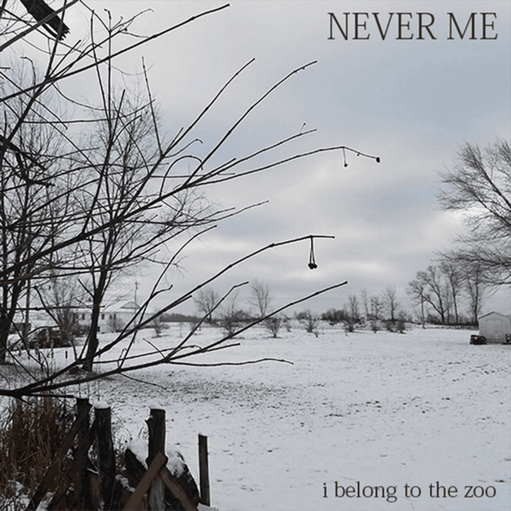 Album cover art for "Never Me" by I Belong to the Zoo