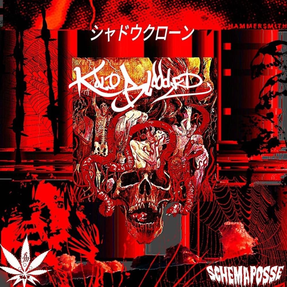 ×/_-$#∆d0w+©l0nXz-_\× (シャドウクローン)