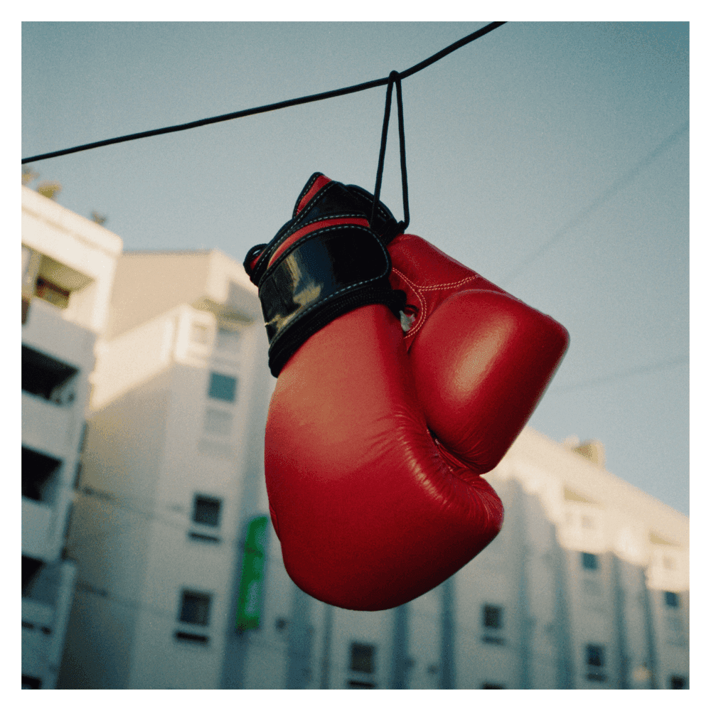 Album cover art for "Frida" by RAUM27