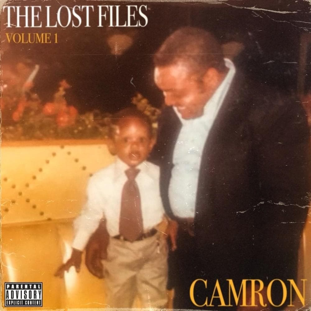 Album cover art for "Critics" by Cam’ron