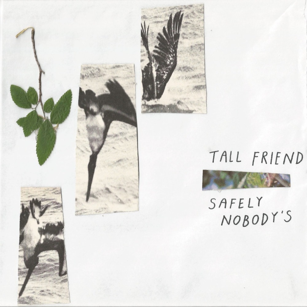 Safely Nobody’s