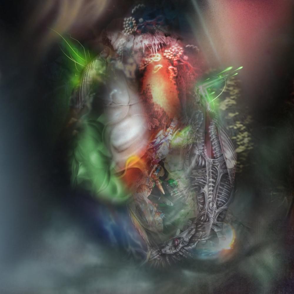  Gore​-​Tex In The Club, Balenciaga Amongst The Shrubs