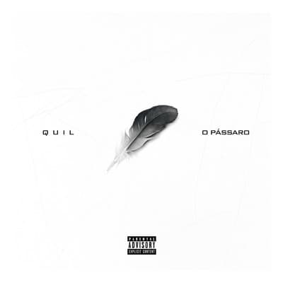 Album cover art for "O Pássaro" by o Quil