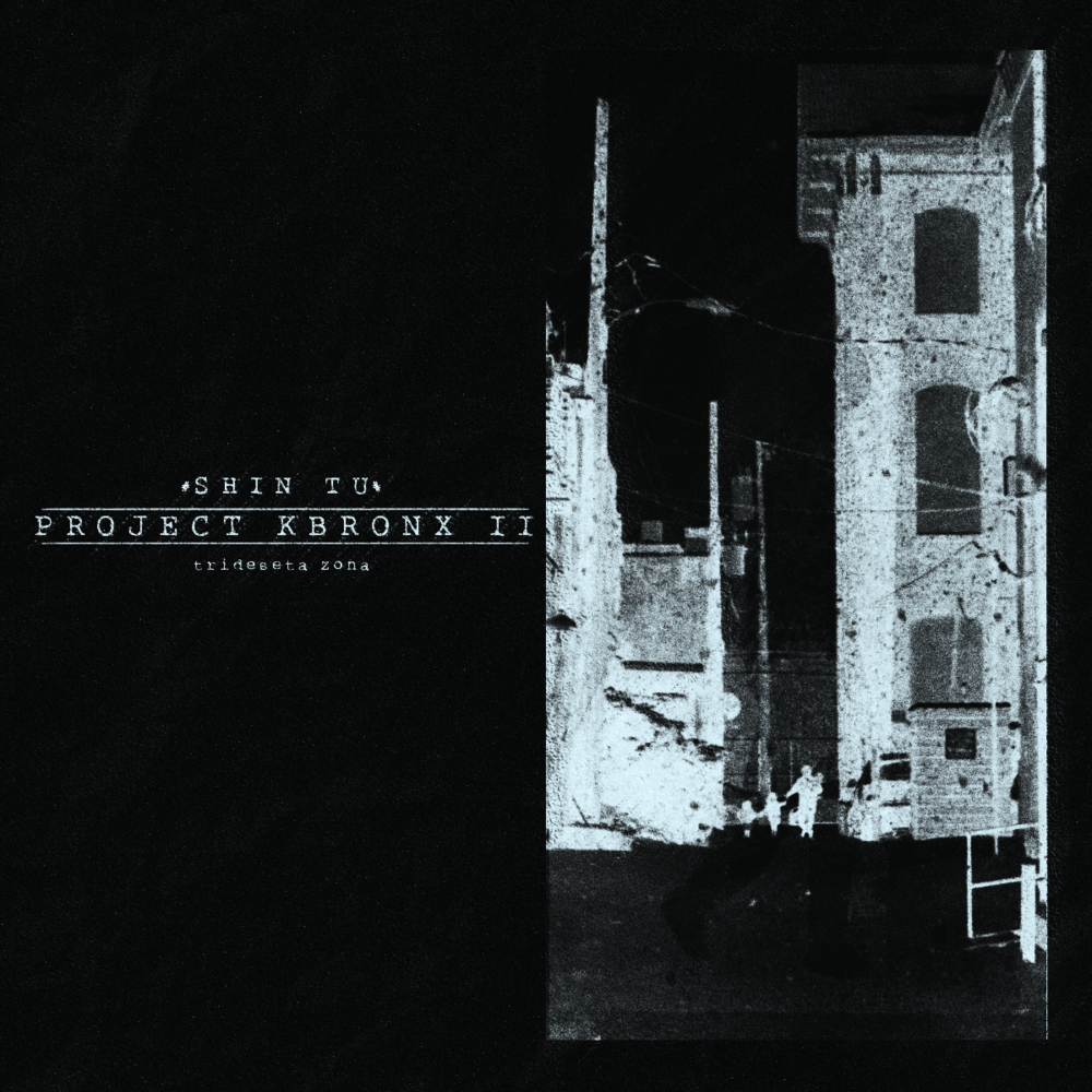 Project KBronx II