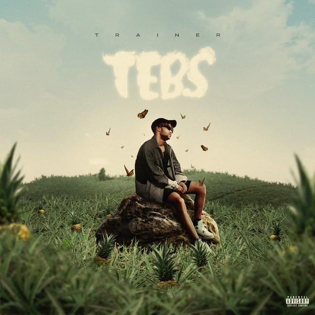 TEBS