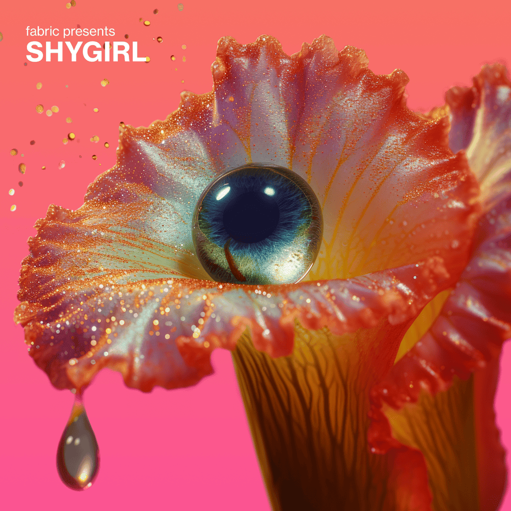 fabric presents Shygirl (Vinyl Version)