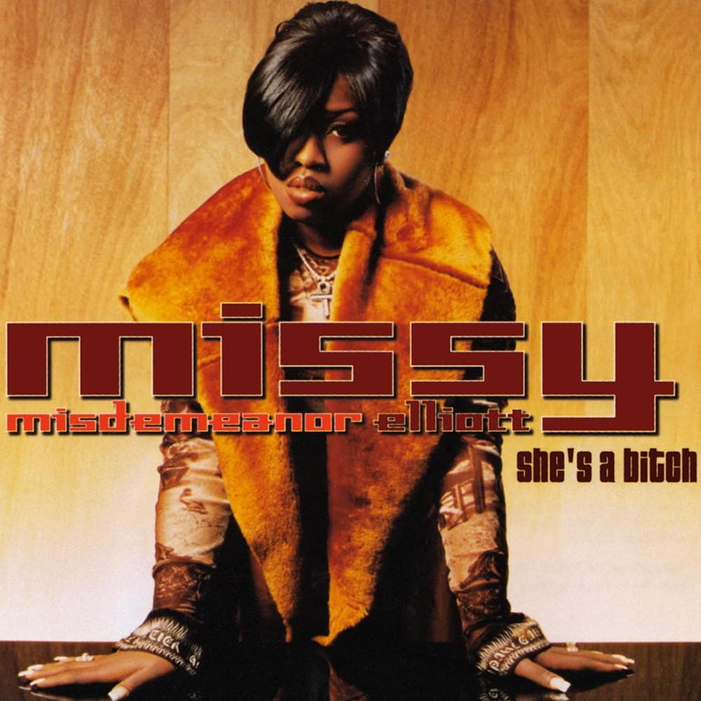 Album cover art for "She’s a Bitch" by Missy Elliott