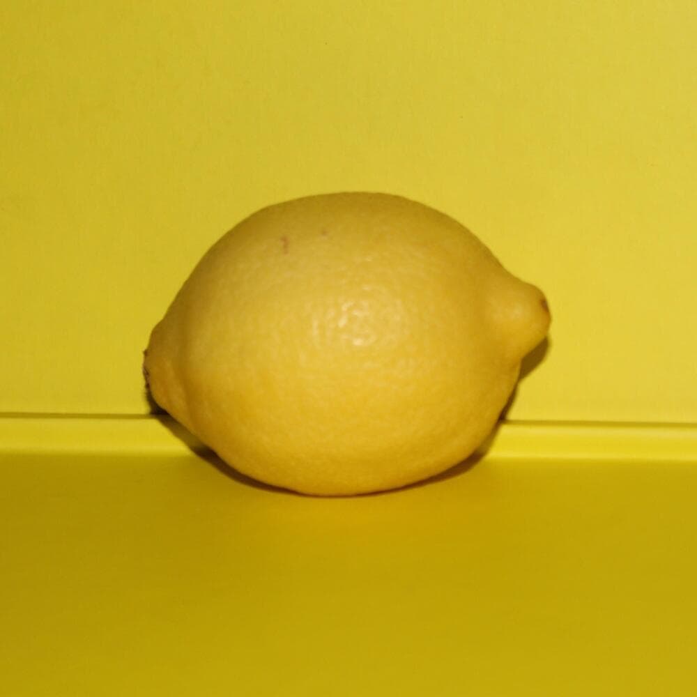 Album cover art for "​google doesnt like immigrants" by I Fucked a Turkey