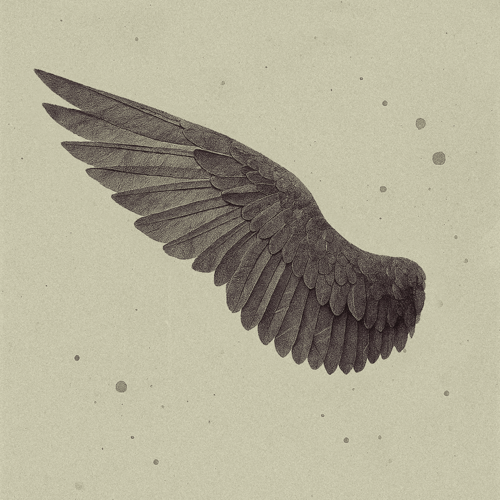 날개 (wing)