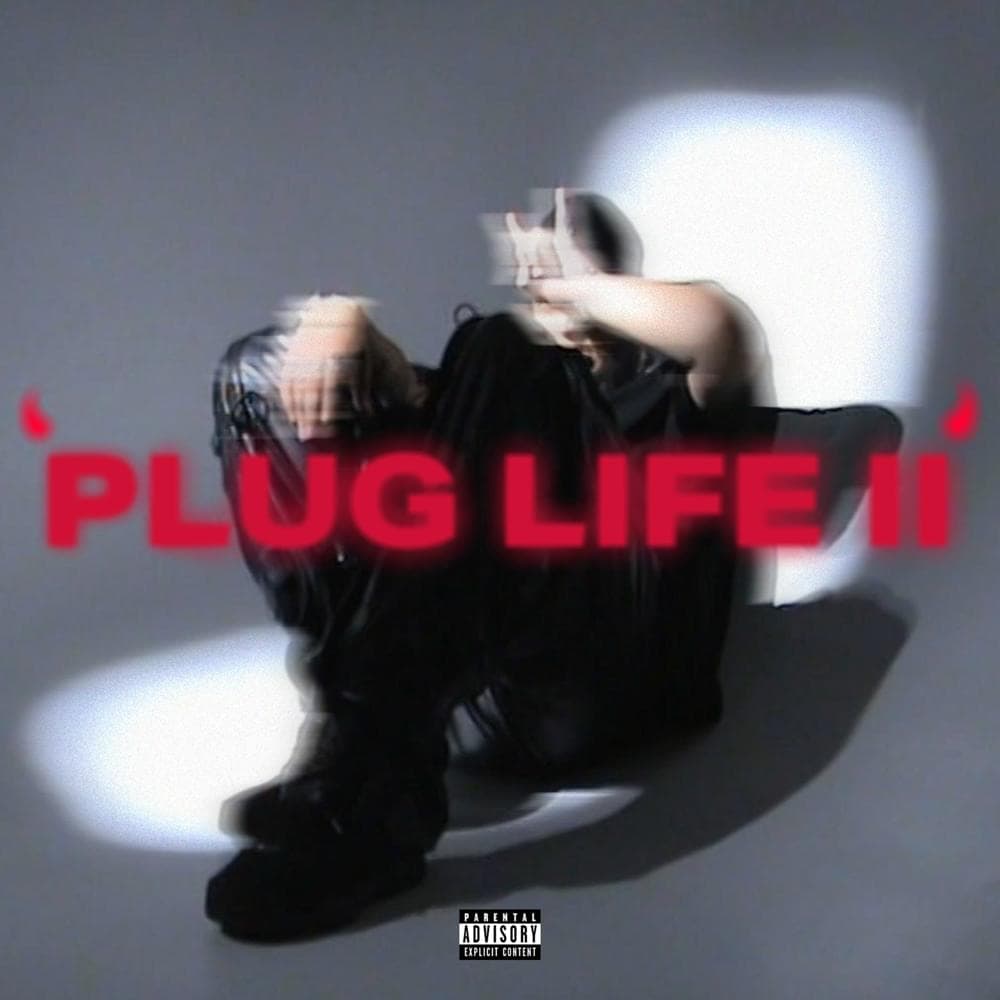 Album cover art for "PLUG LIFE 2" by G Grizzie