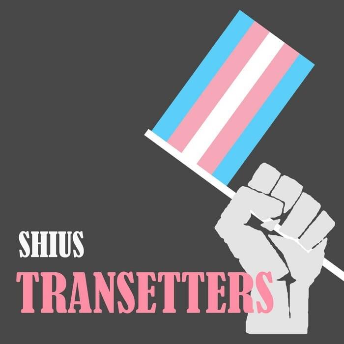 Transsetters