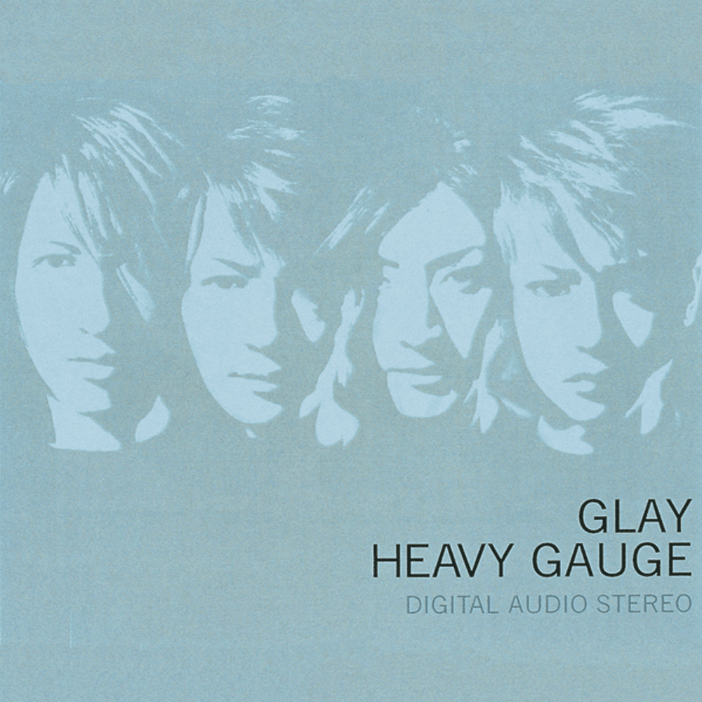 HEAVY GAUGE