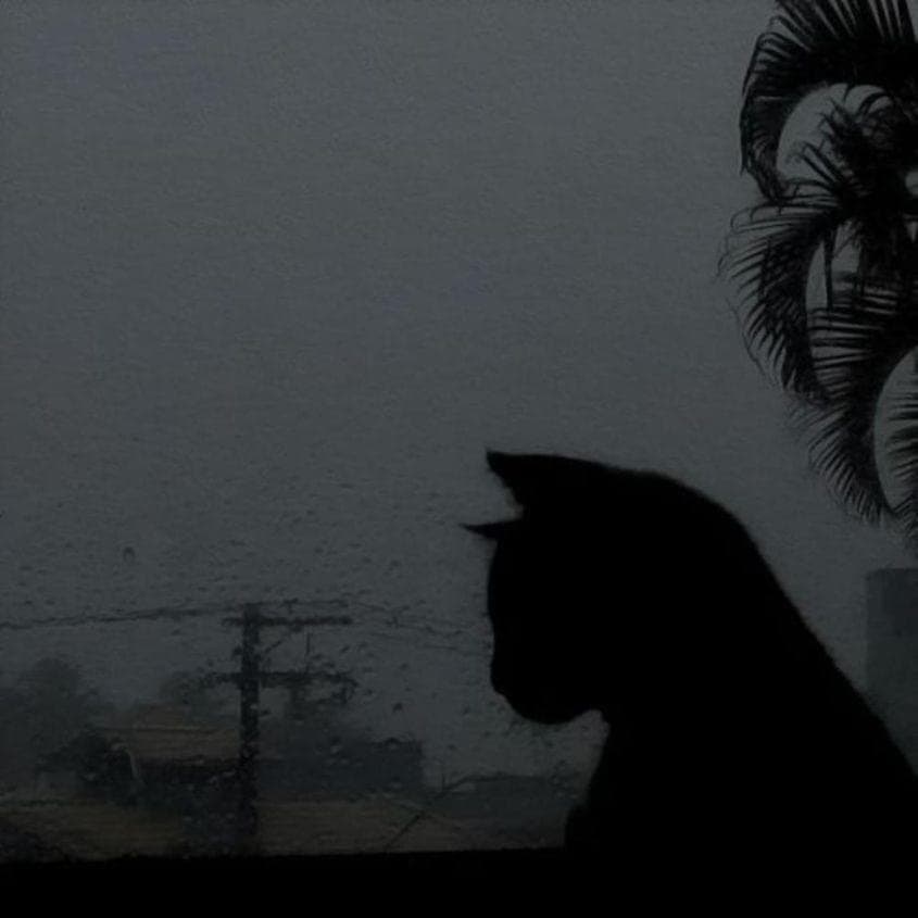 Album cover art for "life is pain." by i can’t trust myself tonight