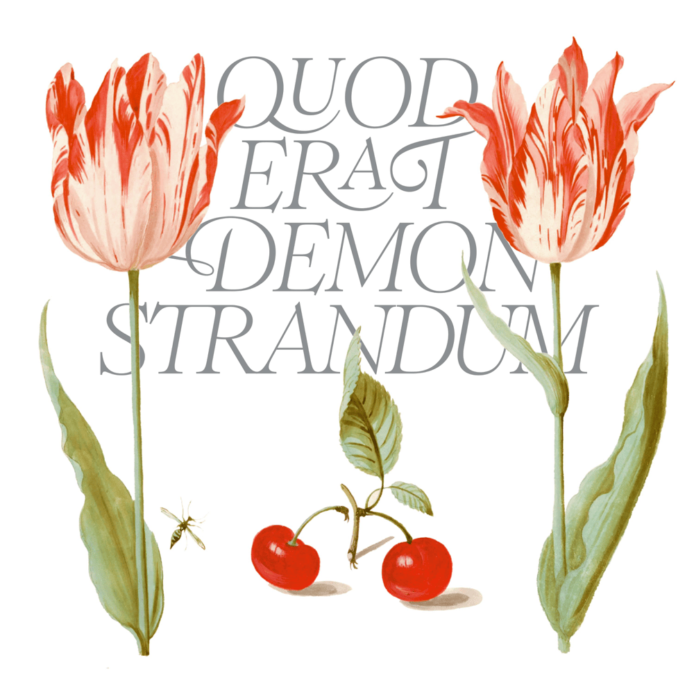 Q.E.D