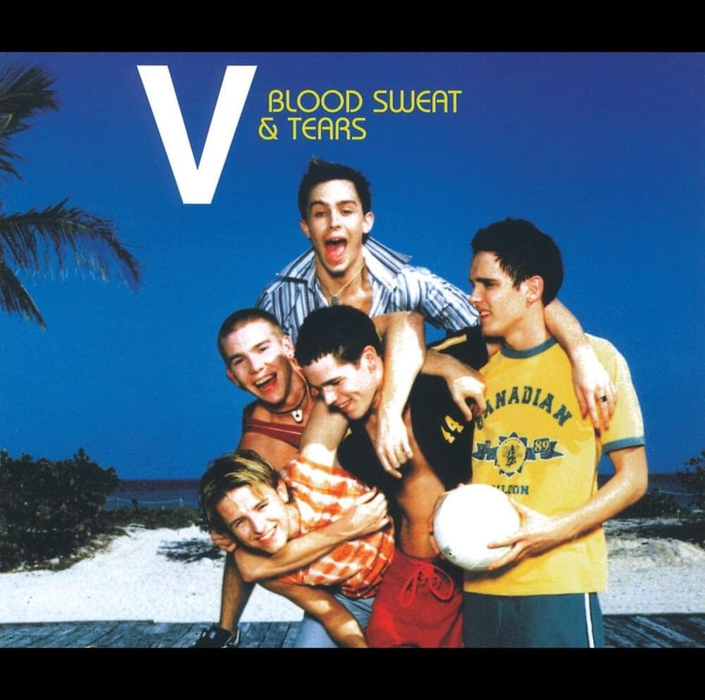 Album cover art for "Blood Sweat And Tears" by V (Boy Band)