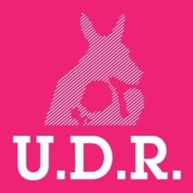 Album cover art for "Bonde da Orgia de Travecos" by U.D.R