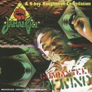 Guaranteed Rewind: A B-Boy Roughneck Compilation