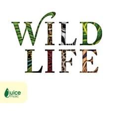 Wildlife