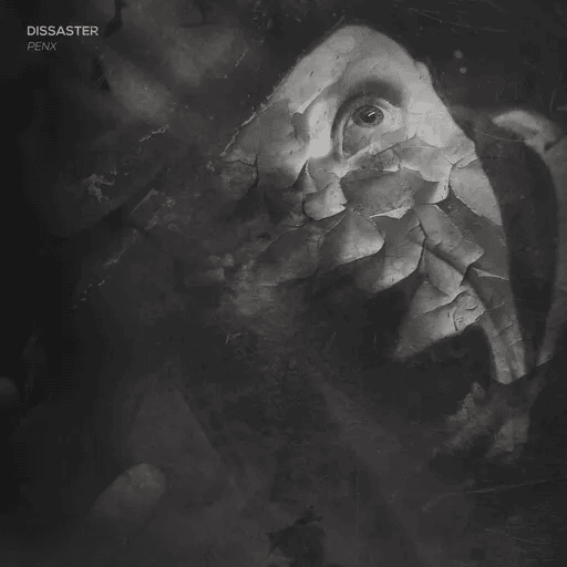 Dissaster