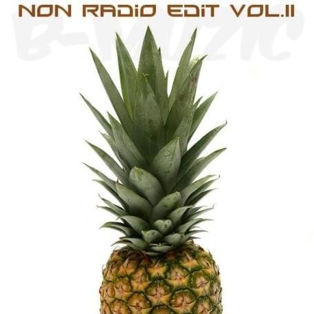 Non Radio Edit Vol.II