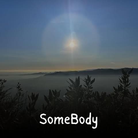 Album cover art for "Somebody" by N J B
