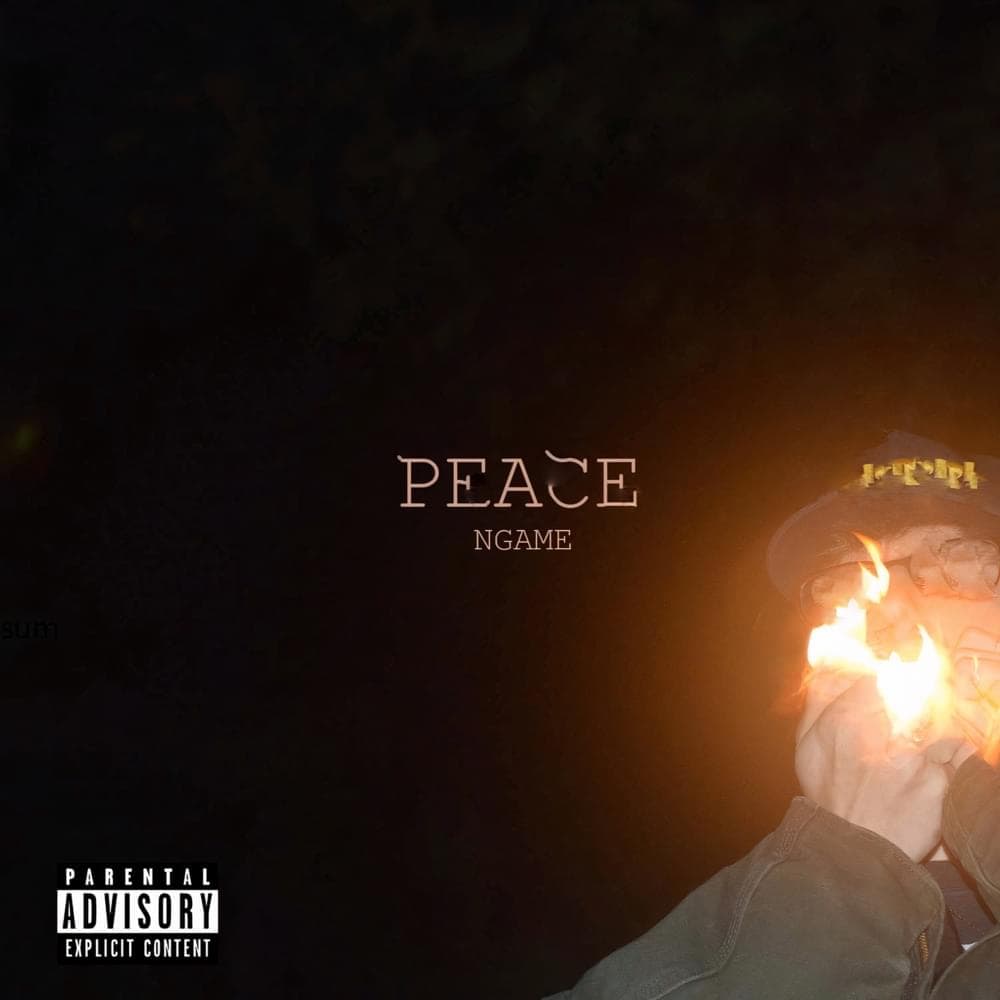 Album cover art for "Peace" by N-Game