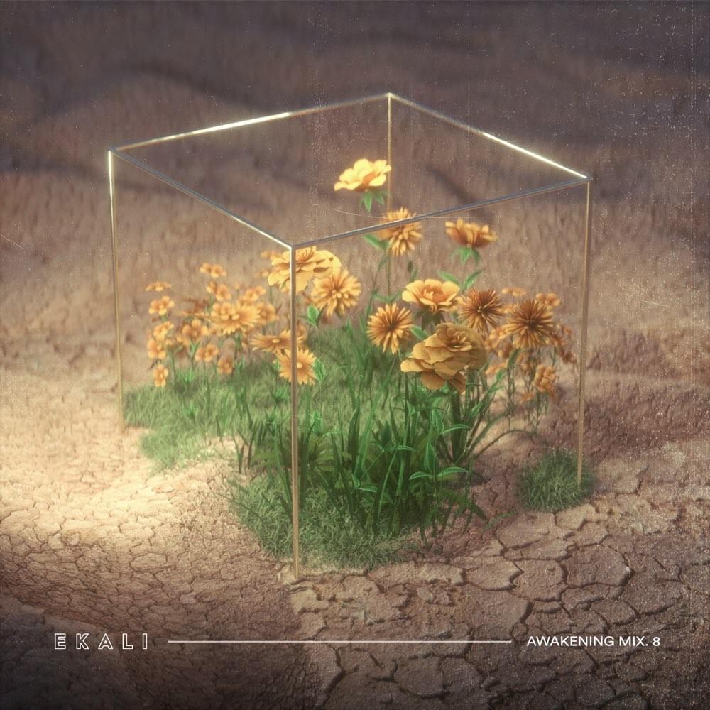 Awakening (Mix.8)