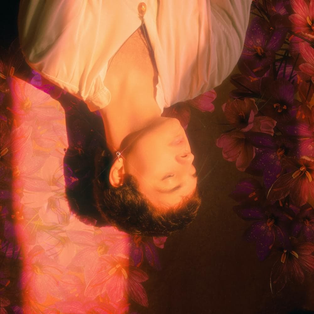 Album cover art for "You Don't Know How to Love Me" by V?k (Singer)