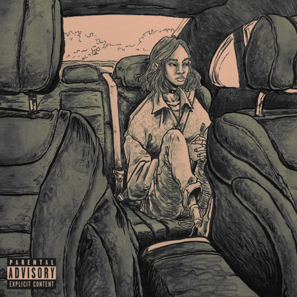 Album cover art for "Backseat" by Little Simz