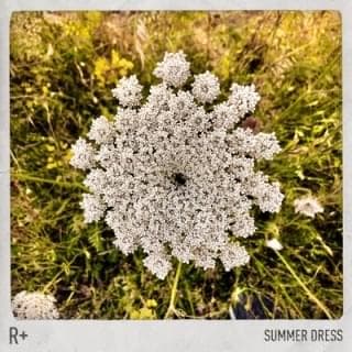 Album cover art for "Summer Dress" by R Plus (Rapper) & Dido
