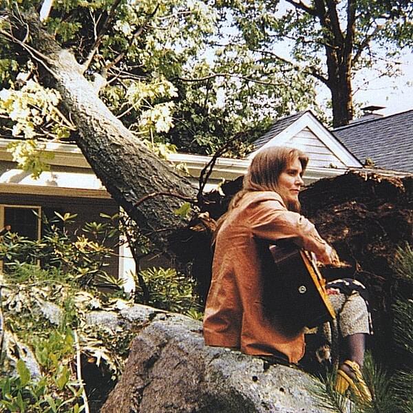The Sound of a Tree Falling