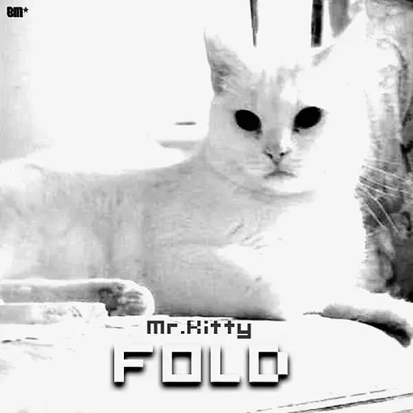 Cover image for Fold