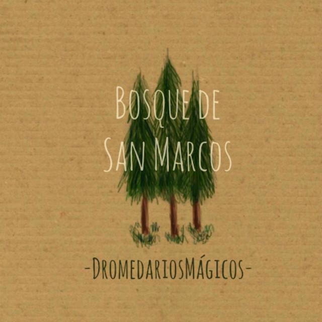 Bosque de San Marcos