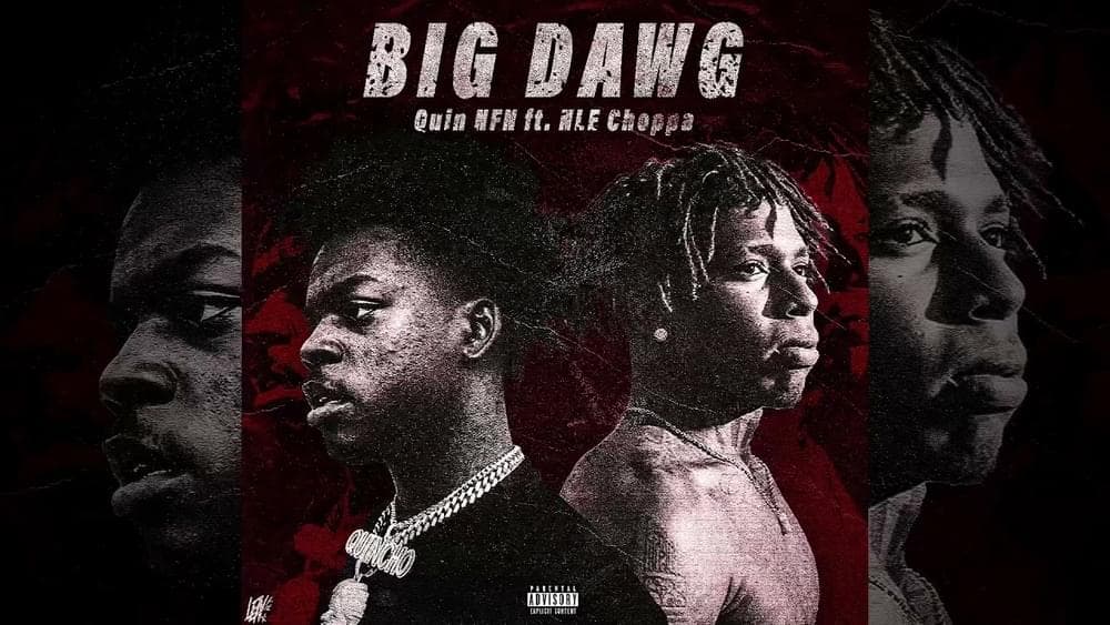 Album cover art for "Big Dawg" by Quin NFN & NLE Choppa