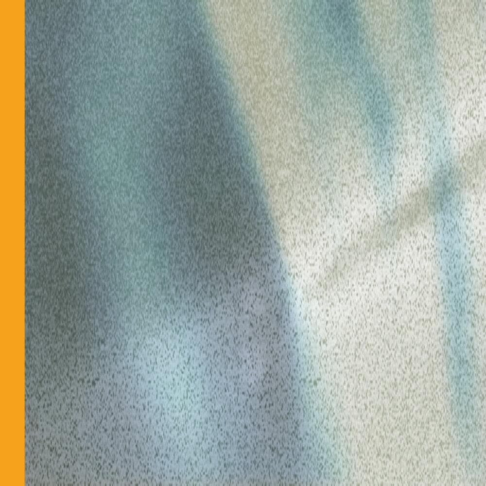 Album cover art for "You Only Sold Me" by A Country Western