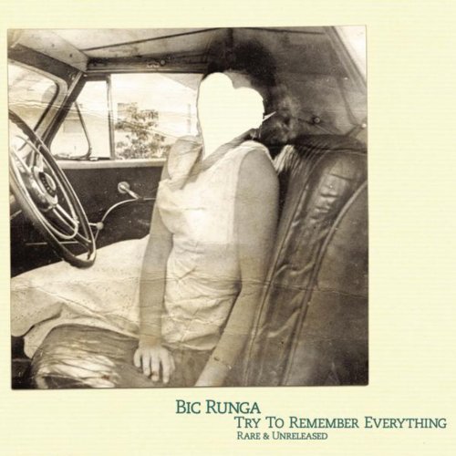 Try to Remember Everything