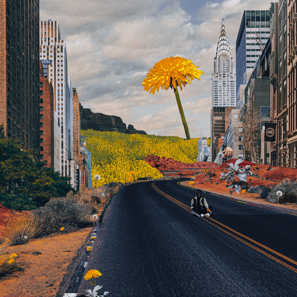 Street Flowers
