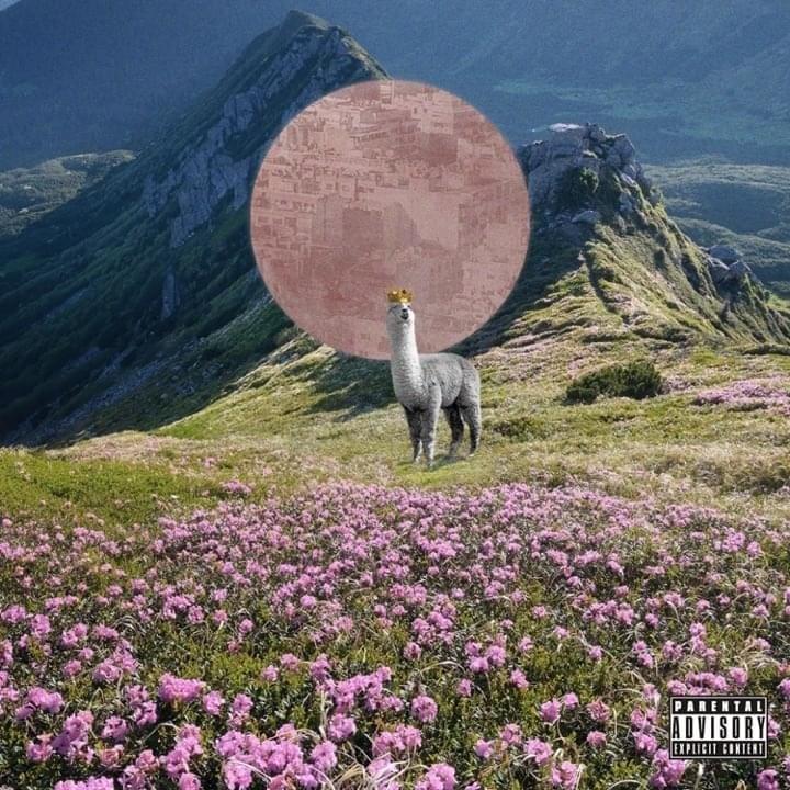 LLAMA