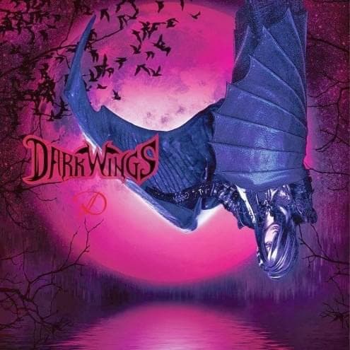 Album cover art for "DARK WINGS" by D (Visual Kei band)